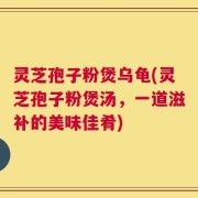灵芝孢子粉煲乌龟(灵芝孢子粉煲汤，一道滋补的美味佳肴)