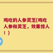 鸡吃的人参灵芝(鸡吃人参和灵芝，效果惊人！)