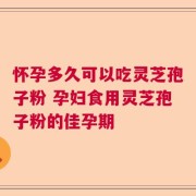 怀孕多久可以吃灵芝孢子粉 孕妇食用灵芝孢子粉的佳孕期