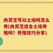 肉灵芝可以土培吗怎么养(肉灵芝适合土培养殖吗？养殖技巧分享)