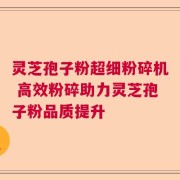 灵芝孢子粉超细粉碎机 高效粉碎助力灵芝孢子粉品质提升
