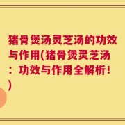 猪骨煲汤灵芝汤的功效与作用(猪骨煲灵芝汤：功效与作用全解析！)