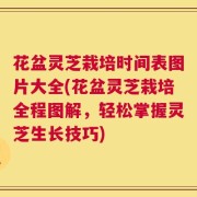 花盆灵芝栽培时间表图片大全(花盆灵芝栽培全程图解，轻松掌握灵芝生长技巧)
