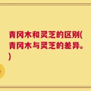 青冈木和灵芝的区别(青冈木与灵芝的差异。)
