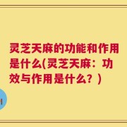 灵芝天麻的功能和作用是什么(灵芝天麻：功效与作用是什么？)