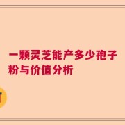 一颗灵芝能产多少孢子粉与价值分析