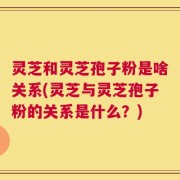 灵芝和灵芝孢子粉是啥关系(灵芝与灵芝孢子粉的关系是什么？)