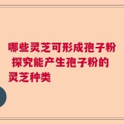 哪些灵芝可形成孢子粉 探究能产生孢子粉的灵芝种类