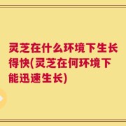灵芝在什么环境下生长得快(灵芝在何环境下能迅速生长)