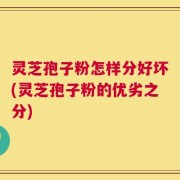 灵芝孢子粉怎样分好坏(灵芝孢子粉的优劣之分)