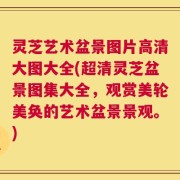 灵芝艺术盆景图片高清大图大全(超清灵芝盆景图集大全，观赏美轮美奂的艺术盆景景观。)