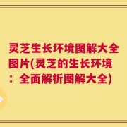 灵芝生长坏境图解大全图片(灵芝的生长环境：全面解析图解大全)