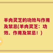 羊肉灵芝的功效与作用及禁忌(羊肉灵芝：功效、作用及禁忌！)