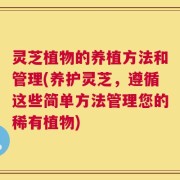 灵芝植物的养植方法和管理(养护灵芝，遵循这些简单方法管理您的稀有植物)