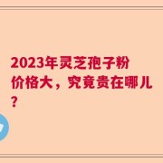 2023年灵芝孢子粉价格大，究竟贵在哪儿？