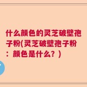 什么颜色的灵芝破壁孢子粉(灵芝破壁孢子粉：颜色是什么？)