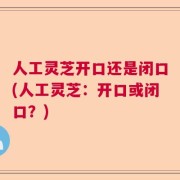 人工灵芝开口还是闭口(人工灵芝：开口或闭口？)