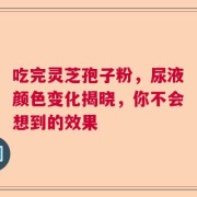 吃完灵芝孢子粉，尿液颜色变化揭晓，你不会想到的效果