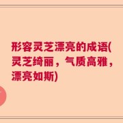 形容灵芝漂亮的成语(灵芝绮丽，气质高雅，漂亮如斯)