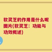 软灵芝的作用是什么呢图片(软灵芝：功能与功效概述)