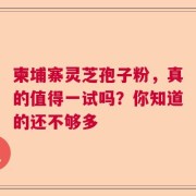 柬埔寨灵芝孢子粉，真的值得一试吗？你知道的还不够多