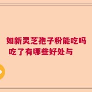 如新灵芝孢子粉能吃吗 吃了有哪些好处与
