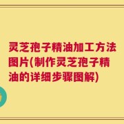 灵芝孢子精油加工方法图片(制作灵芝孢子精油的详细步骤图解)