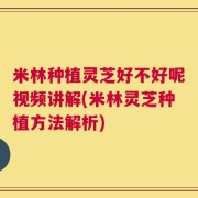 米林种植灵芝好不好呢视频讲解(米林灵芝种植方法解析)