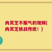 肉灵芝不服气的视频(肉灵芝挑战传统！)