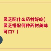 灵芝配什么药材好吃(灵芝搭配何种药材美味可口？)