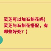 灵芝可以加石斛花吗(灵芝与石斛花搭配，有哪些好处？)
