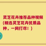 灵芝花卉推荐品种视频(精选灵芝花卉优质品种，一网打尽！)