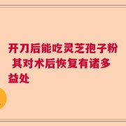 开刀后能吃灵芝孢子粉 其对术后恢复有诸多益处