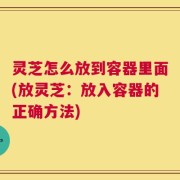 灵芝怎么放到容器里面(放灵芝：放入容器的正确方法)