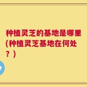 种植灵芝的基地是哪里(种植灵芝基地在何处？)