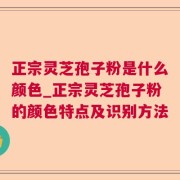 正宗灵芝孢子粉是什么颜色_正宗灵芝孢子粉的颜色特点及识别方法