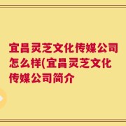 宜昌灵芝文化传媒公司怎么样(宜昌灵芝文化传媒公司简介