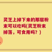 灵芝上掉下来的那层粉末可以吃吗(灵芝粉末掉落，可食用吗？)