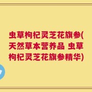 虫草枸杞灵芝花旗参(天然草本营养品 虫草枸杞灵芝花旗参精华)