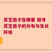 灵芝孢子在哪里 探寻灵芝孢子的分布与生长环境