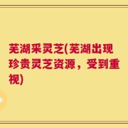 芜湖采灵芝(芜湖出现珍贵灵芝资源，受到重视)