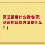 灵芝菌用什么栽培(灵芝菌的栽培方法是什么？)