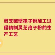 灵芝破壁孢子粉加工过程精制灵芝孢子粉的生产工艺