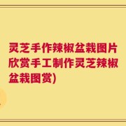 灵芝手作辣椒盆栽图片欣赏手工制作灵芝辣椒盆栽图赏)