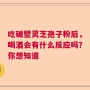 吃破壁灵芝孢子粉后，喝酒会有什么反应吗？你想知道
