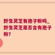 野生灵芝有孢子粉吗_野生灵芝是否含有孢子粉?