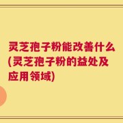 灵芝孢子粉能改善什么(灵芝孢子粉的益处及应用领域)