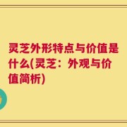 灵芝外形特点与价值是什么(灵芝：外观与价值简析)