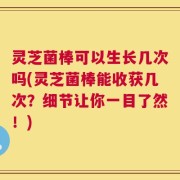 灵芝菌棒可以生长几次吗(灵芝菌棒能收获几次？细节让你一目了然！)