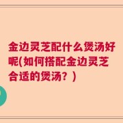 金边灵芝配什么煲汤好呢(如何搭配金边灵芝合适的煲汤？)